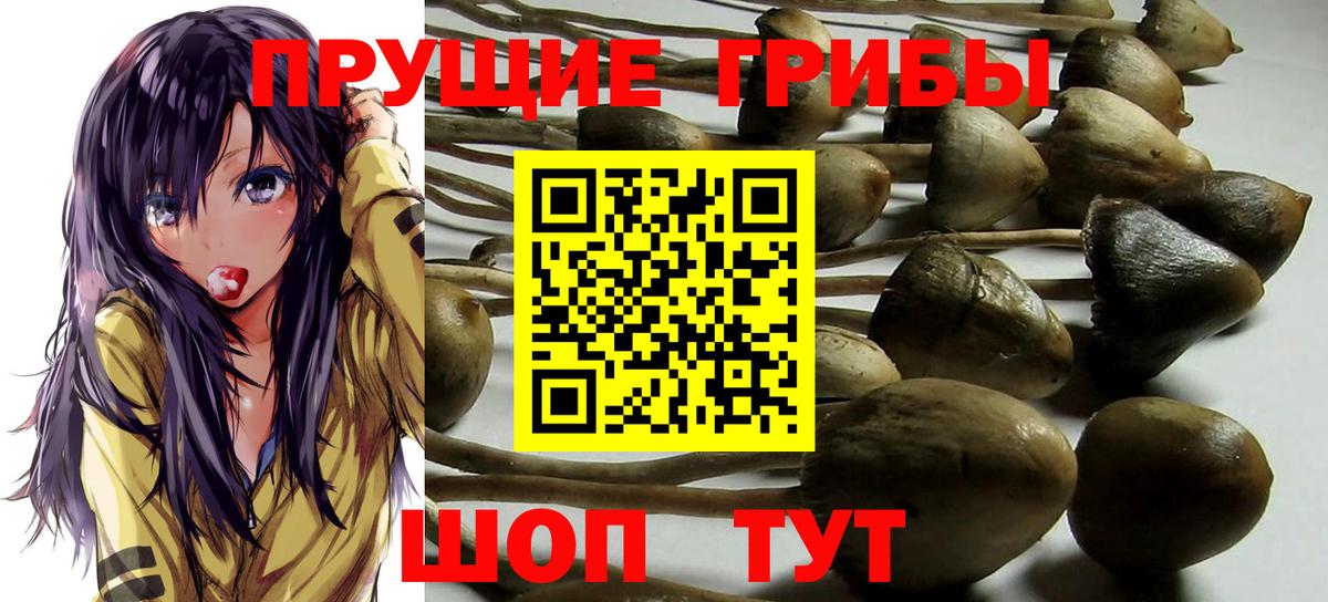 Галлюциногенные грибы мицелий Кимовск
