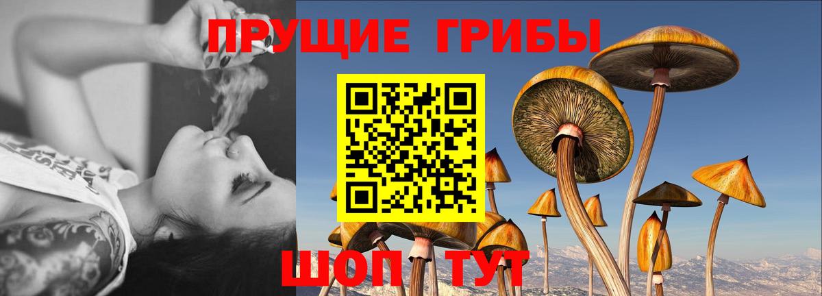 Кимовск  Галлюциногенные грибы ЛСД  где купить наркотик  Вход с VPN 