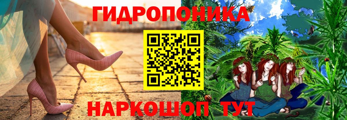 А ПВП Кимовск